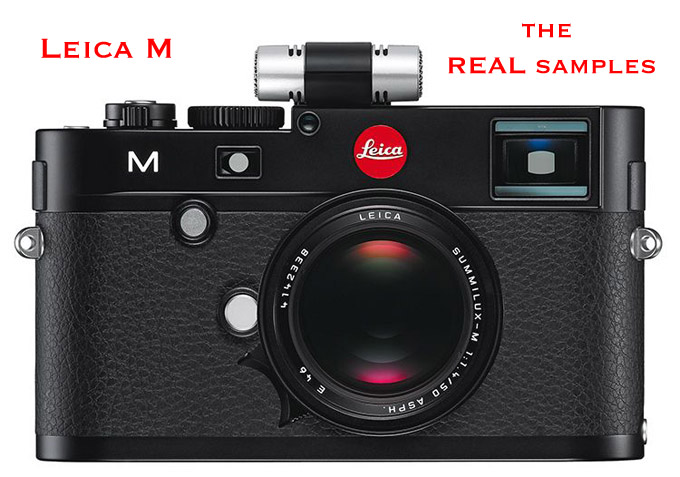 Leica M (typ 240) Field Test and Review — Kristian Dowling