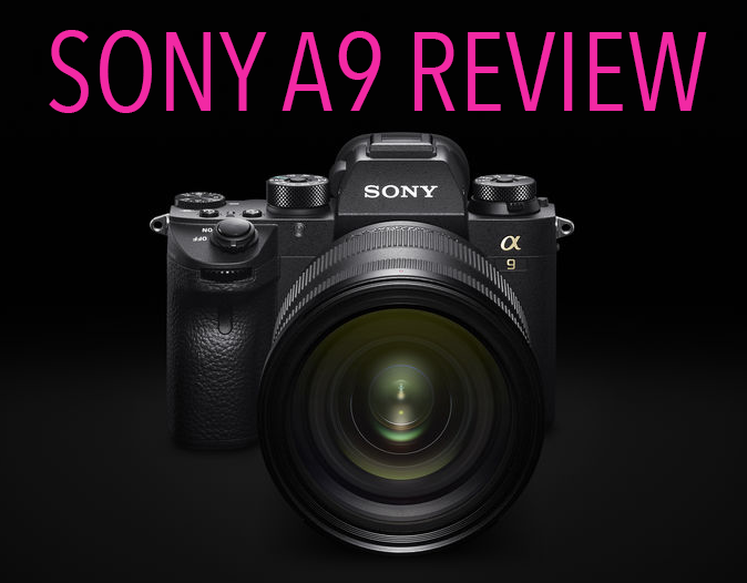 Sony announces action cam, wrist controller and music video recorder:  Digital Photography Review