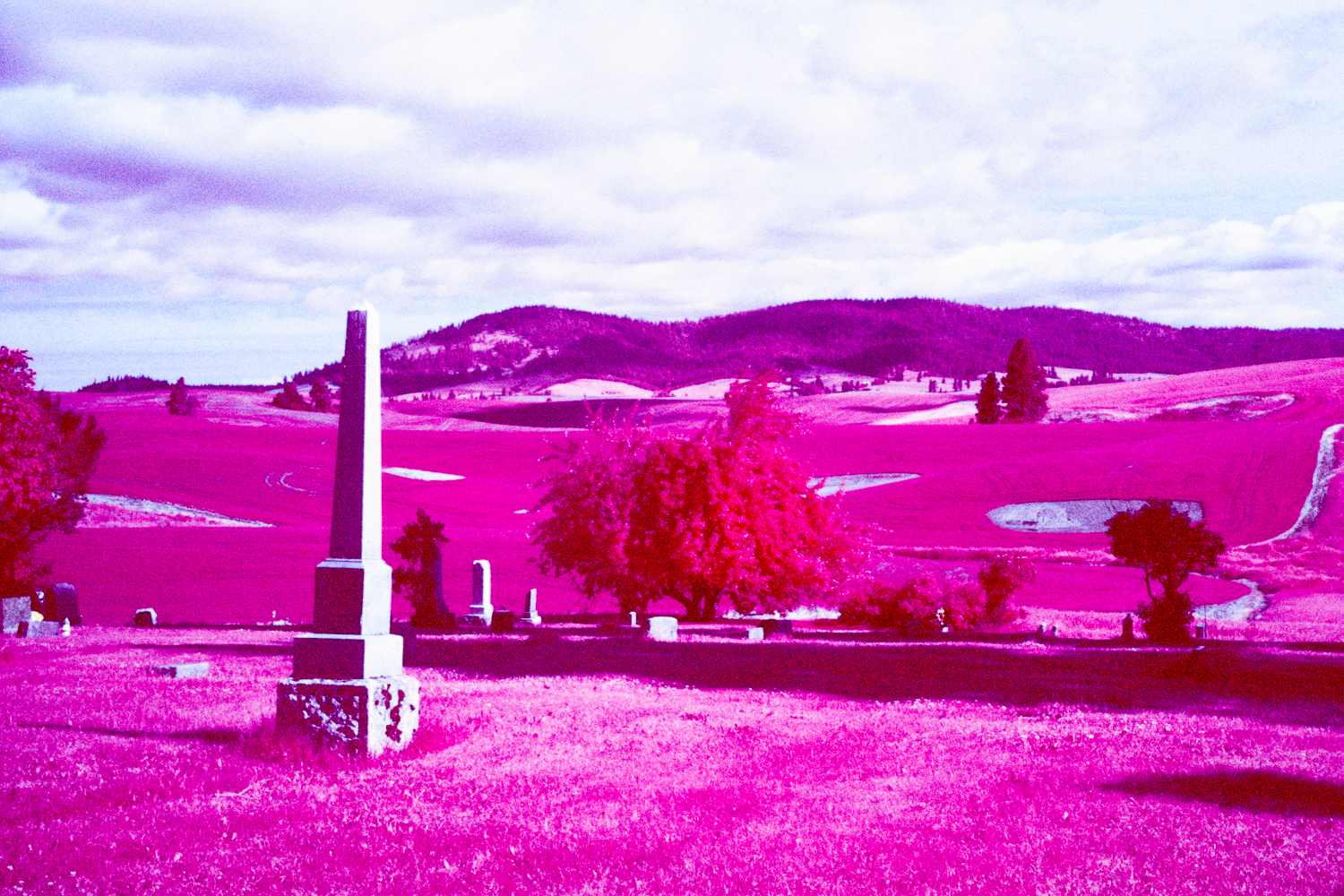 infrared color film