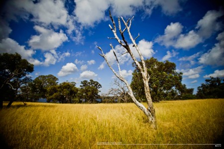 My first play with my dream camera, the Sony A7r by Josh Perera | Steve ...